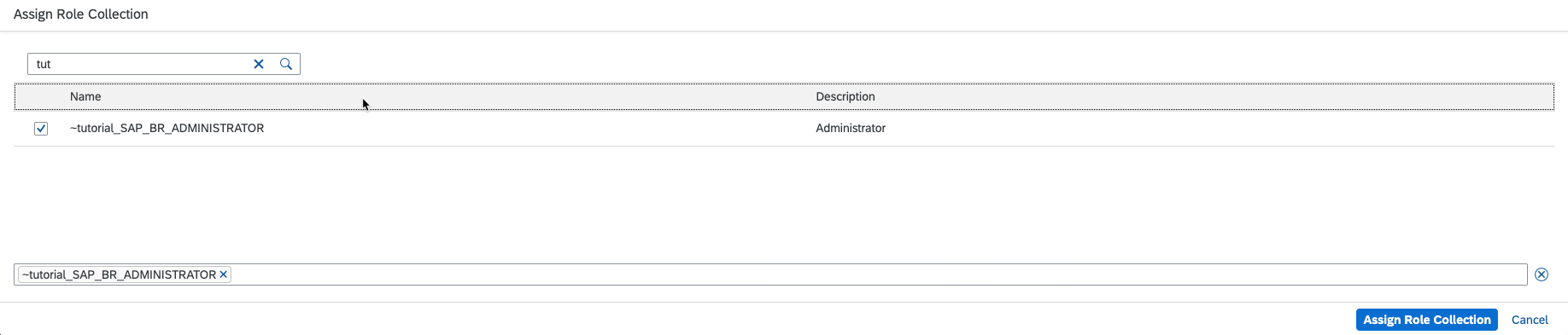 Assign created role collection to SAP BTP, ABAP environment user